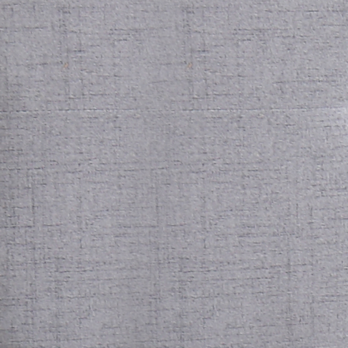 TWIN PLATFORM BED, SILVER