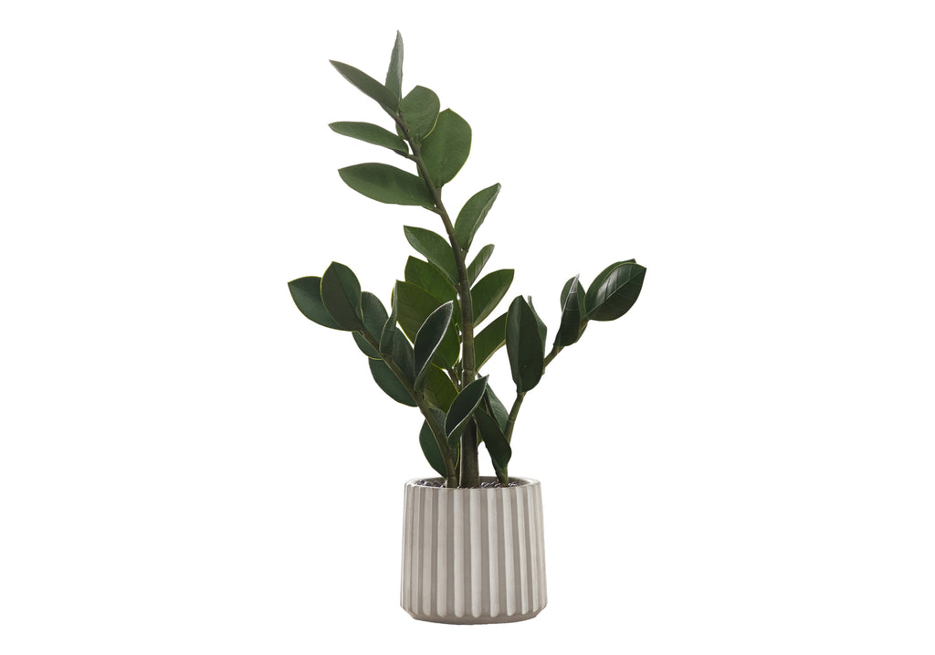 ARTIFICIAL PLANT - 20""H / INDOOR ZZ IN A 5"" CEMENT POT
