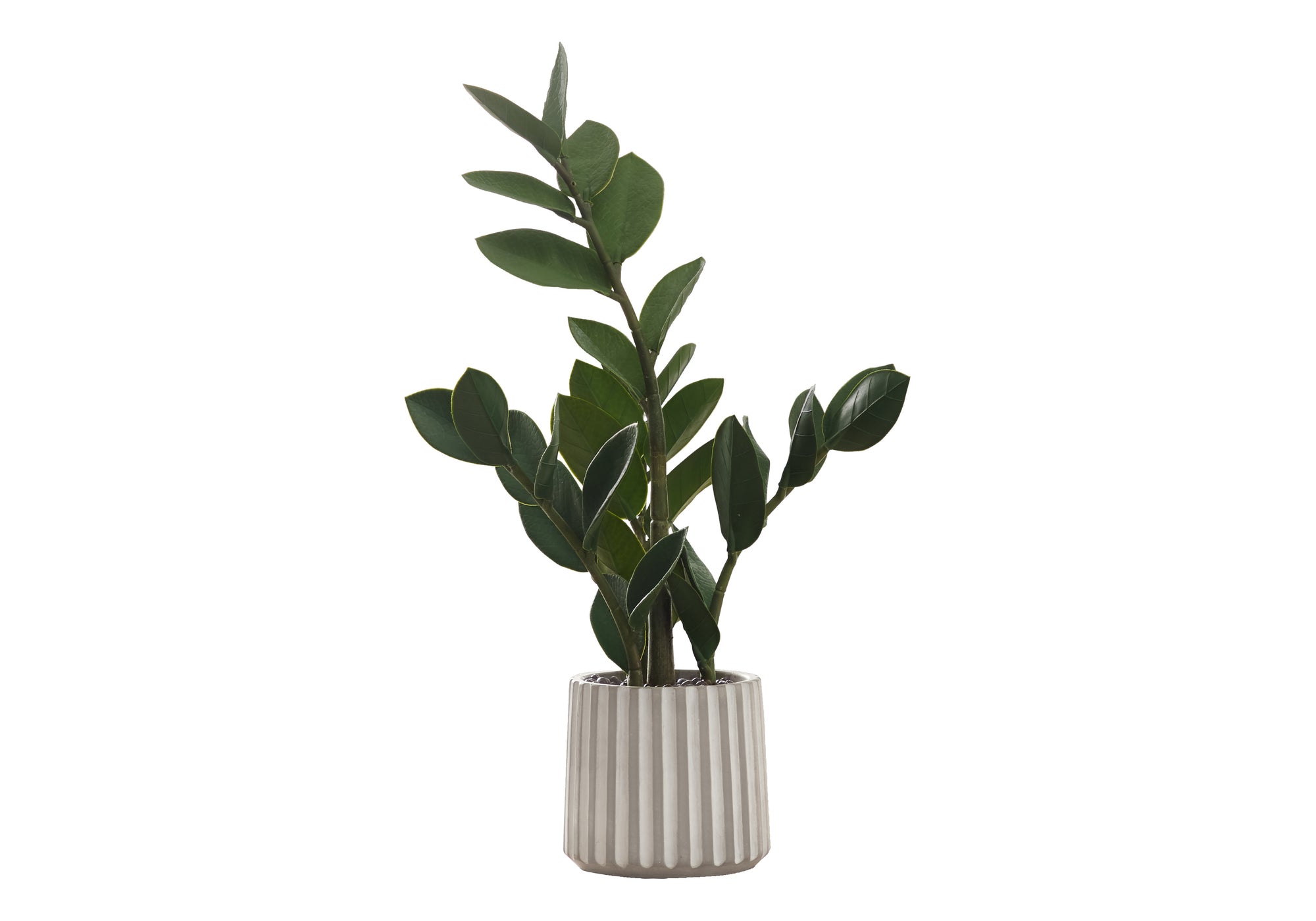 ARTIFICIAL PLANT - 20""H / INDOOR ZZ IN A 5"" CEMENT POT