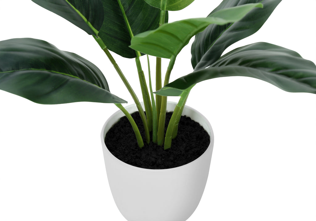 ARTIFICIAL PLANT - 17""H / INDOOR AUREUM IN A 5"" POT