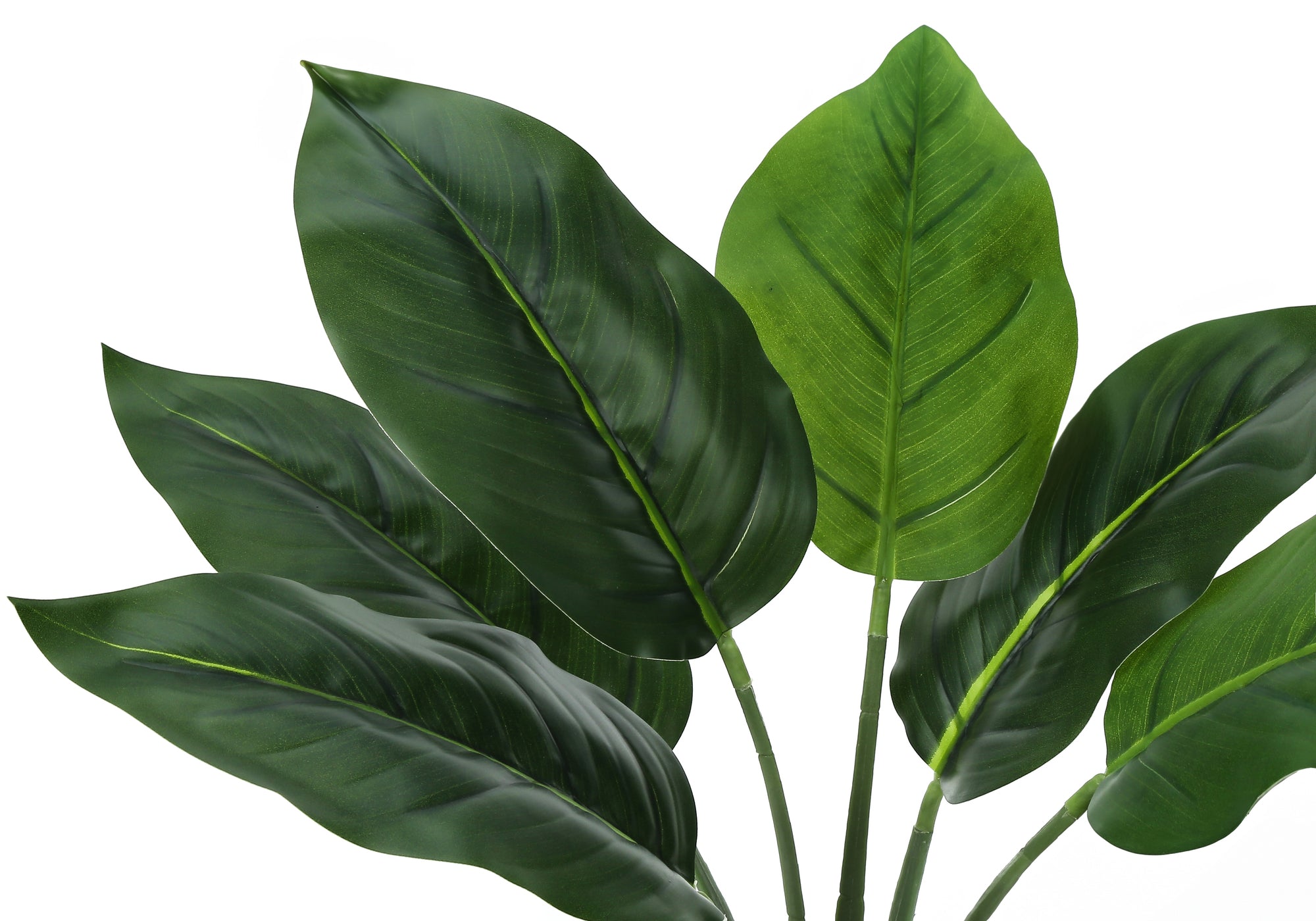 ARTIFICIAL PLANT - 17""H / INDOOR AUREUM IN A 5"" POT