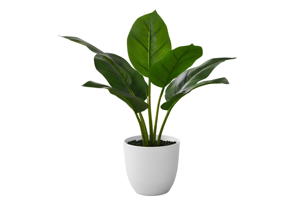 ARTIFICIAL PLANT - 17""H / INDOOR AUREUM IN A 5"" POT