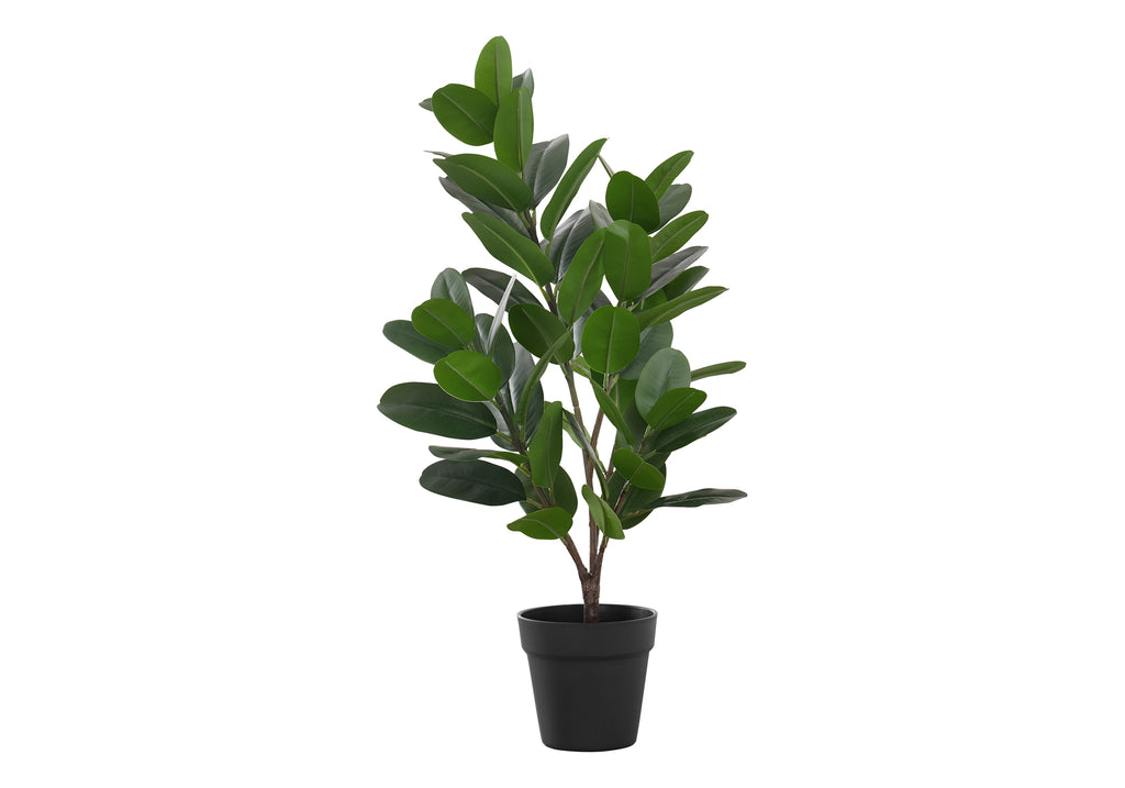 ARTIFICIAL PLANT - 28""H / INDOOR GARCINIA IN A 5"" POT