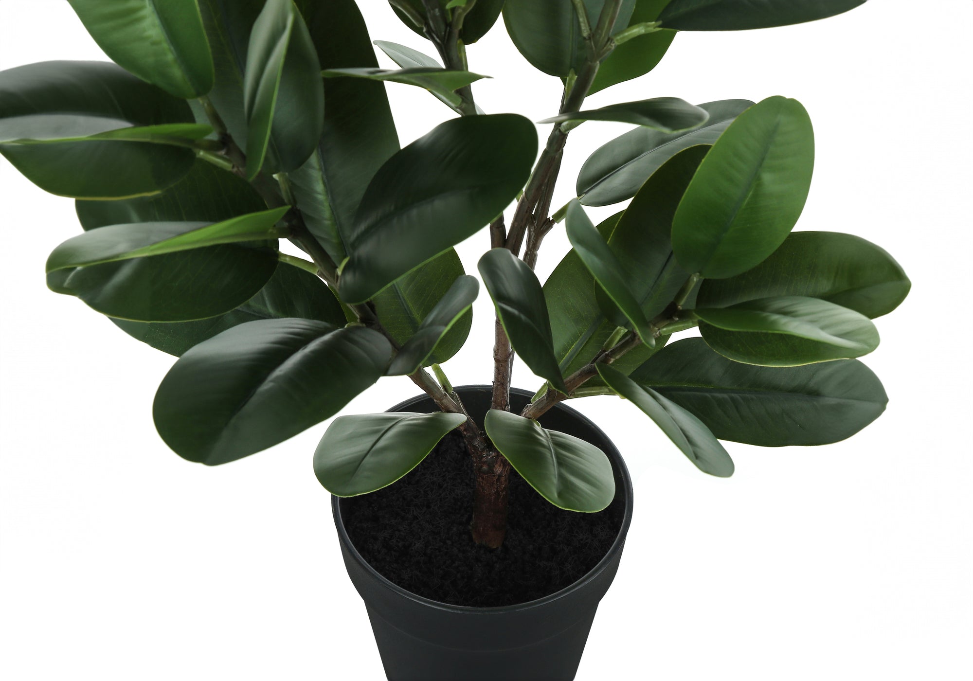 ARTIFICIAL PLANT - 28""H / INDOOR GARCINIA IN A 5"" POT