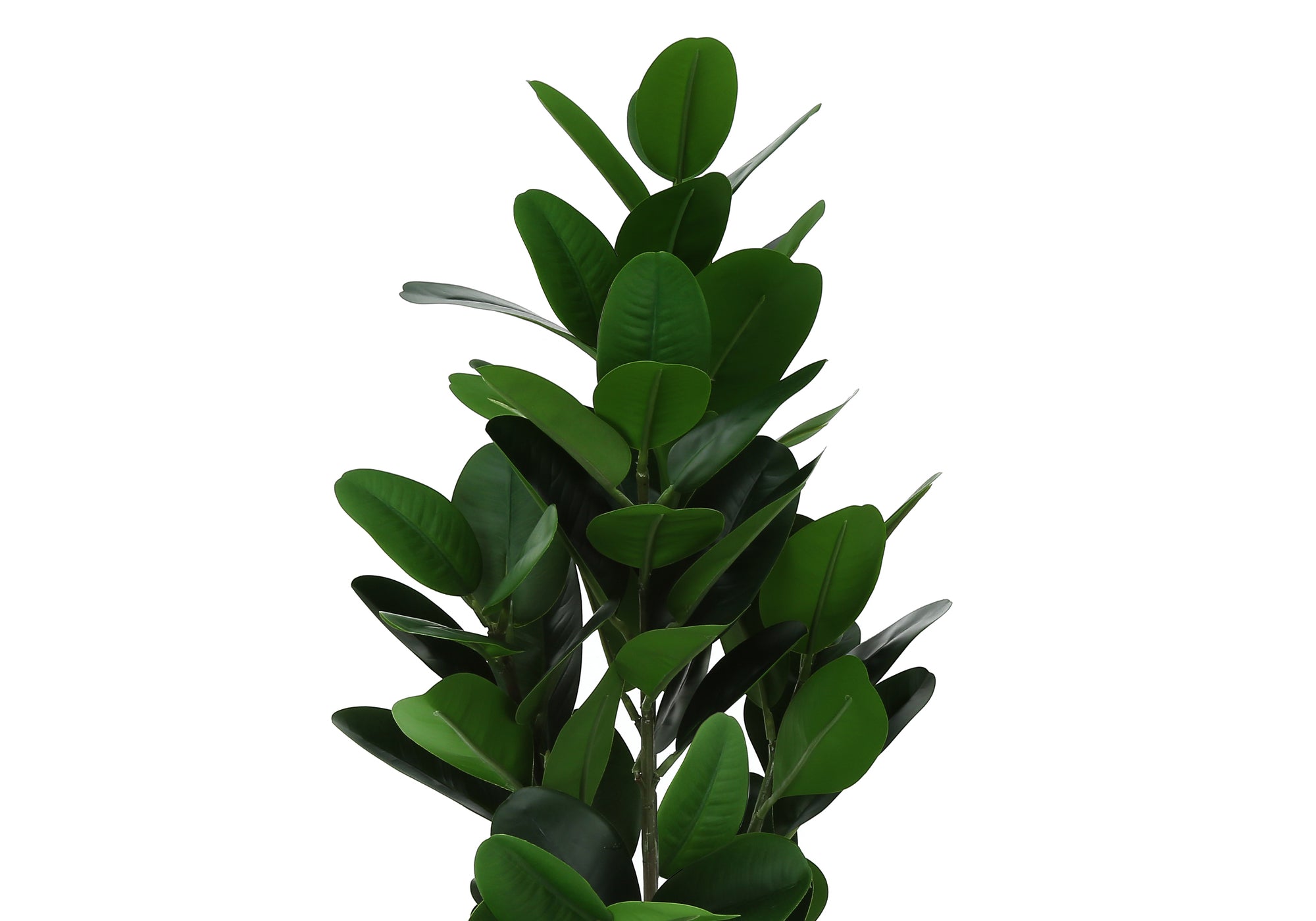 ARTIFICIAL PLANT - 28""H / INDOOR GARCINIA IN A 5"" POT