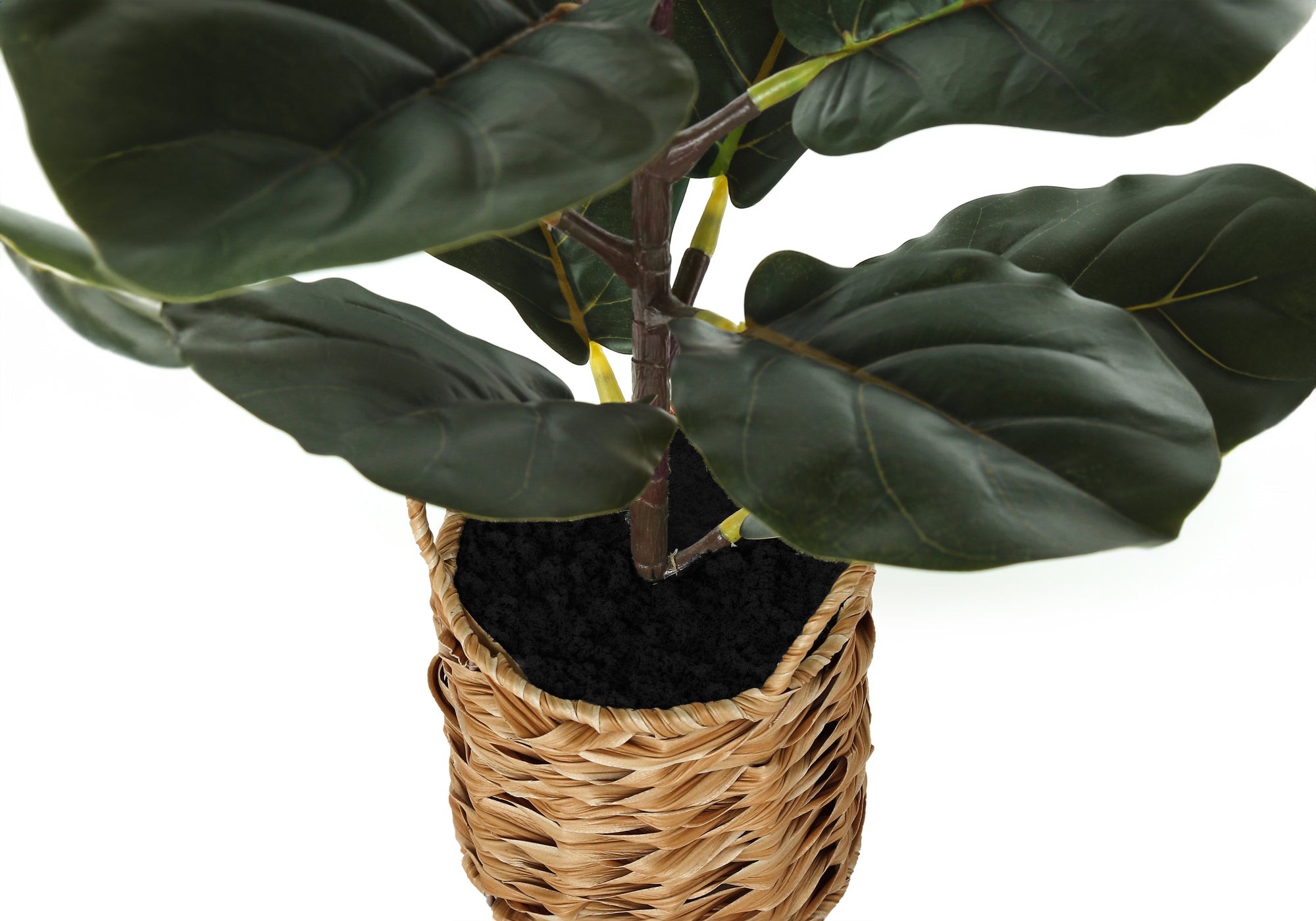 ARTIFICIAL PLANT - 28""H / INDOOR FIDDLE / 8"" WOVEN BASKET
