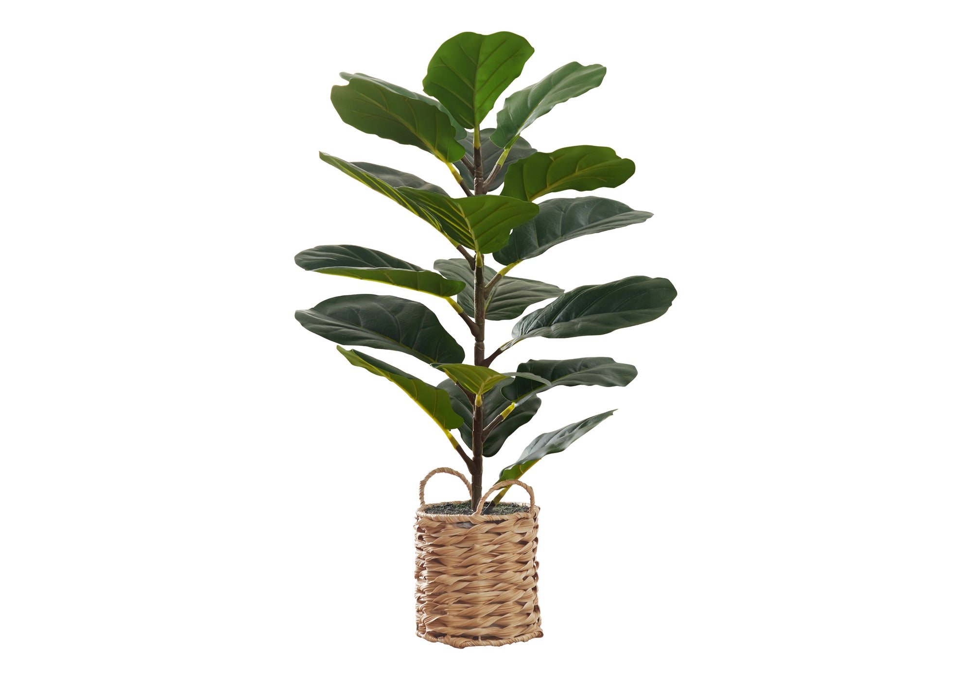 ARTIFICIAL PLANT - 28""H / INDOOR FIDDLE / 8"" WOVEN BASKET
