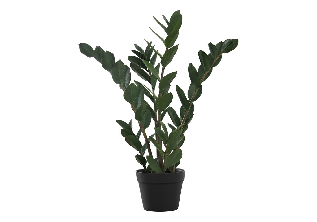 ARTIFICIAL PLANT - 29""H / INDOOR ZZ IN A 6"" POT