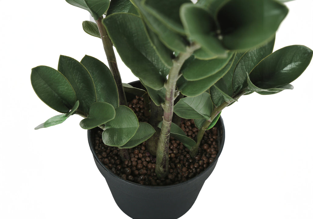 ARTIFICIAL PLANT - 29""H / INDOOR ZZ IN A 6"" POT