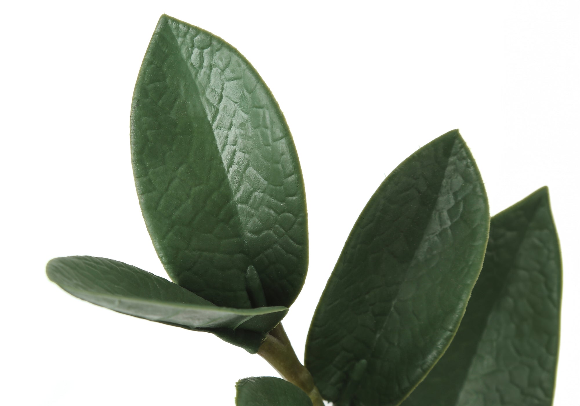 ARTIFICIAL PLANT - 29""H / INDOOR ZZ IN A 6"" POT