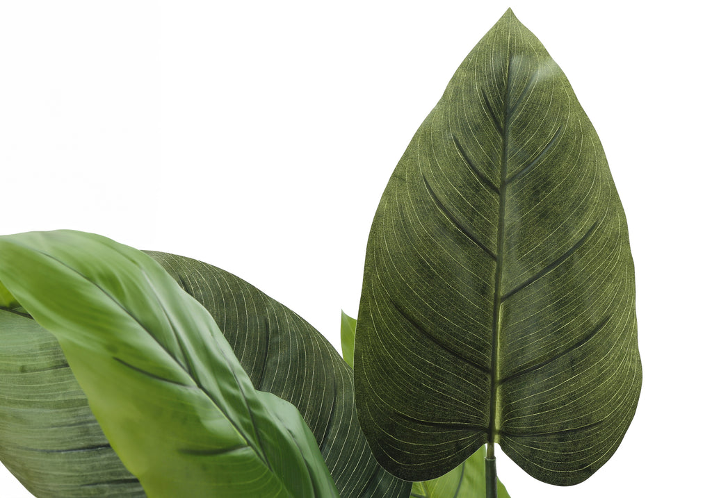 ARTIFICIAL PLANT - 37""H / INDOOR AUREUM IN A 6"" POT