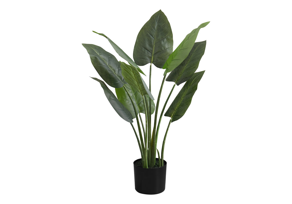 ARTIFICIAL PLANT - 37""H / INDOOR AUREUM IN A 6"" POT