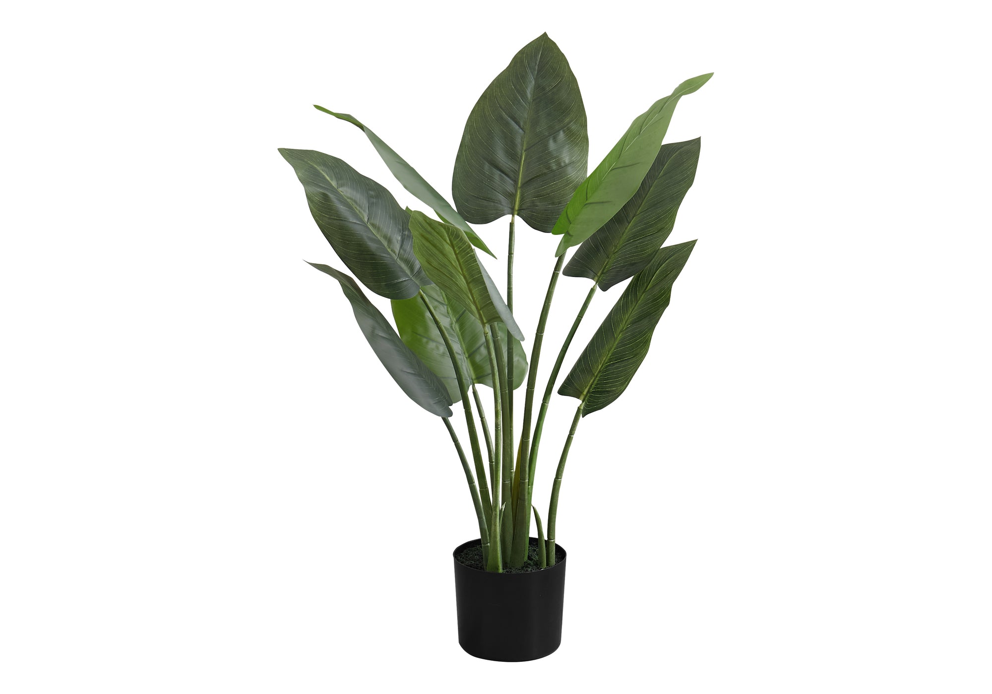 ARTIFICIAL PLANT - 37""H / INDOOR AUREUM IN A 6"" POT