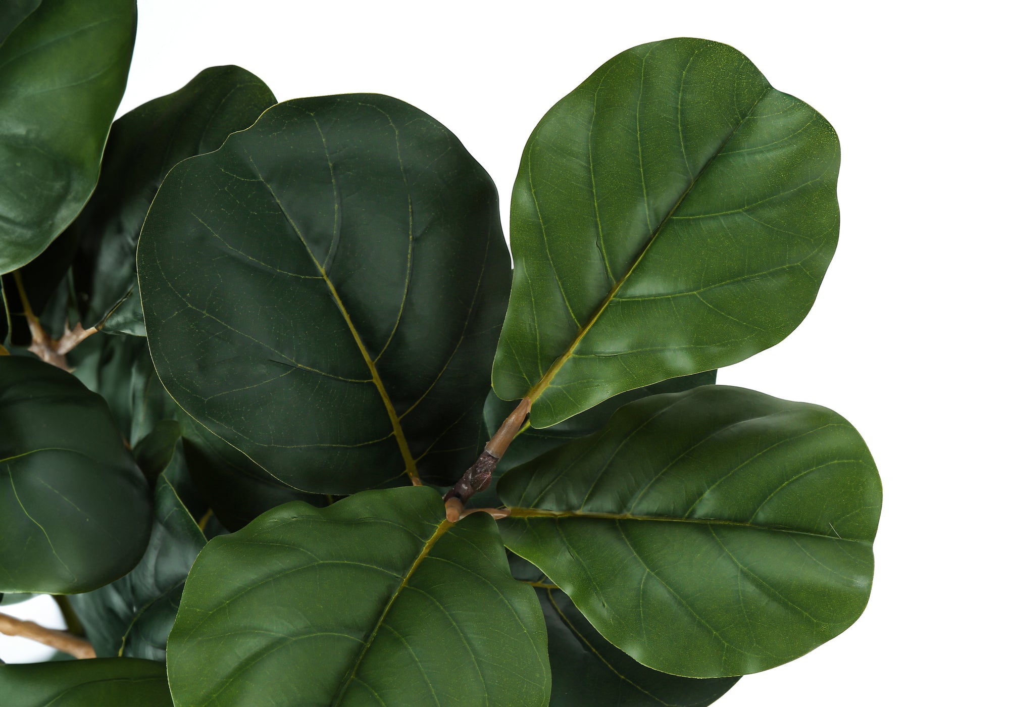 ARTIFICIAL PLANT - 32""H / INDOOR FIDDLE IN A 6"" POT