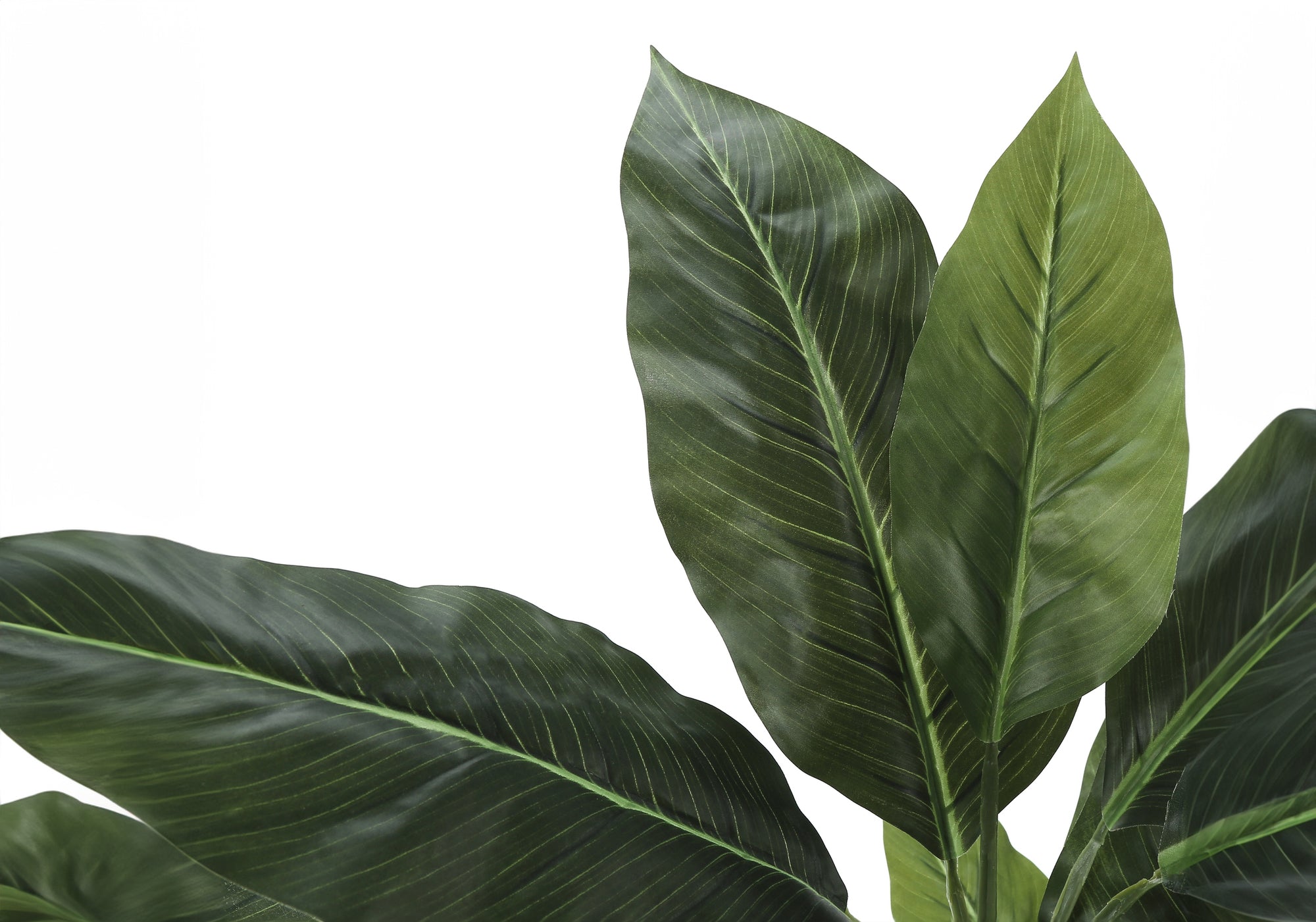 ARTIFICIAL PLANT - 42""H / INDOOR EVERGREEN IN A 5"" POT