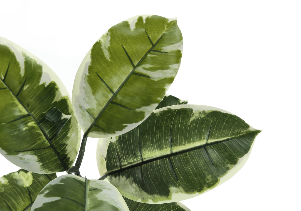 ARTIFICIAL PLANT - 52""H / INDOOR RUBBER TREE IN A 5"" POT