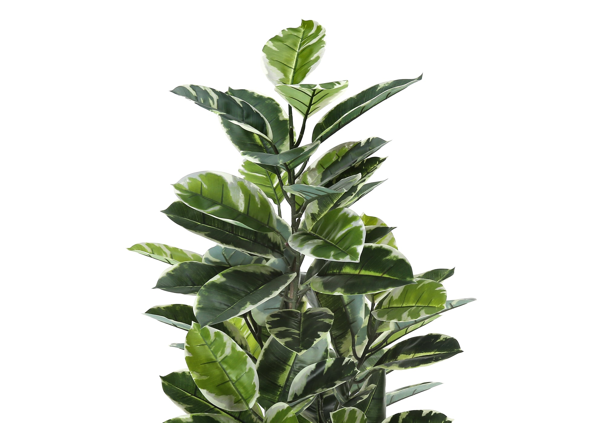 ARTIFICIAL PLANT - 52""H / INDOOR RUBBER TREE IN A 5"" POT