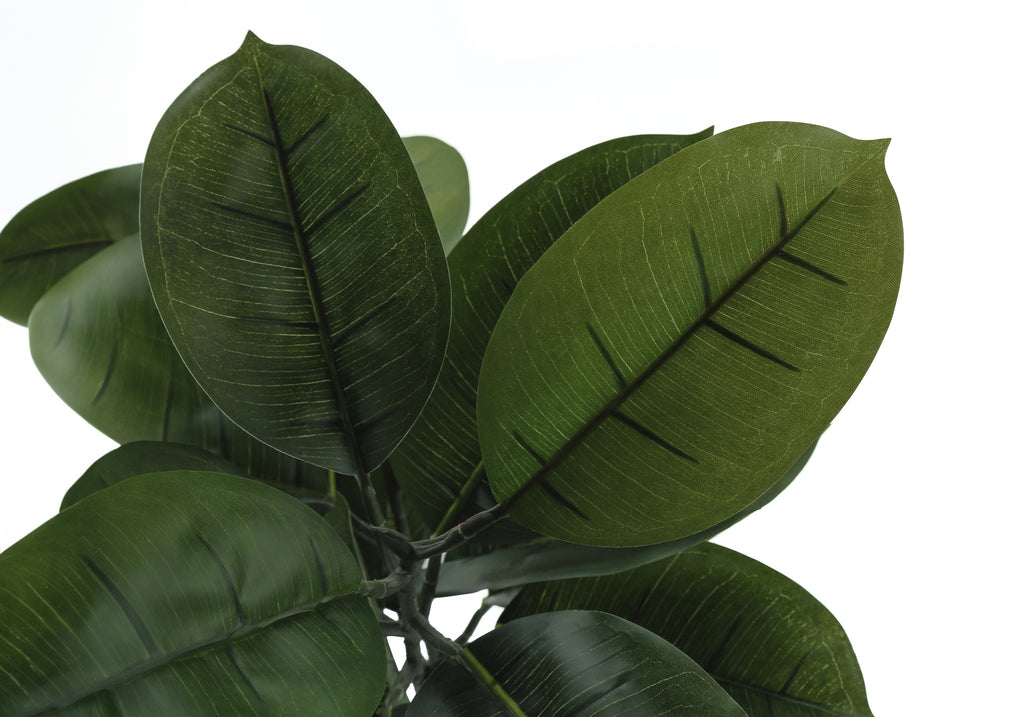 ARTIFICIAL PLANT - 52""H / INDOOR RUBBER TREE IN A 5"" POT