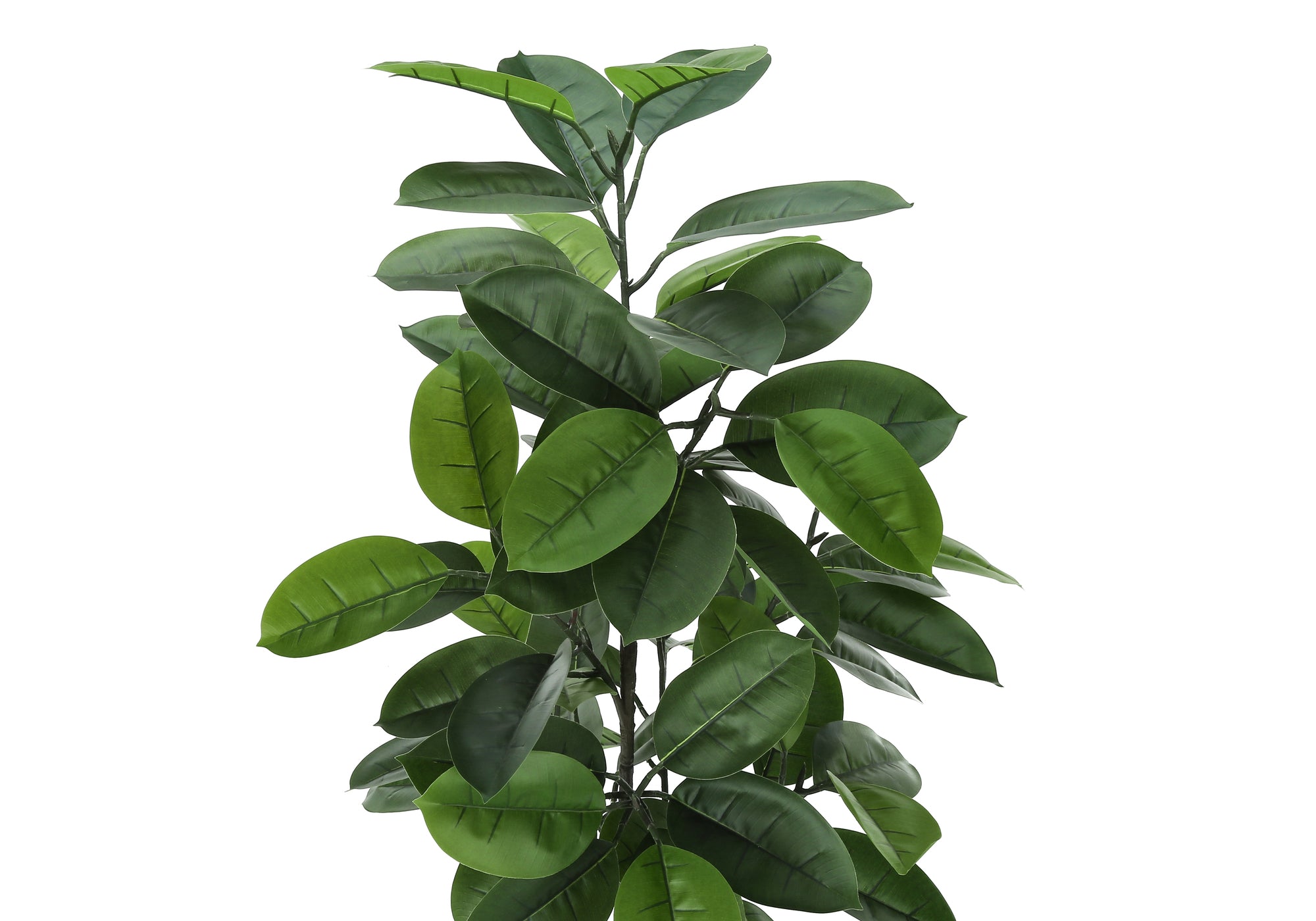 ARTIFICIAL PLANT - 52""H / INDOOR RUBBER TREE IN A 5"" POT