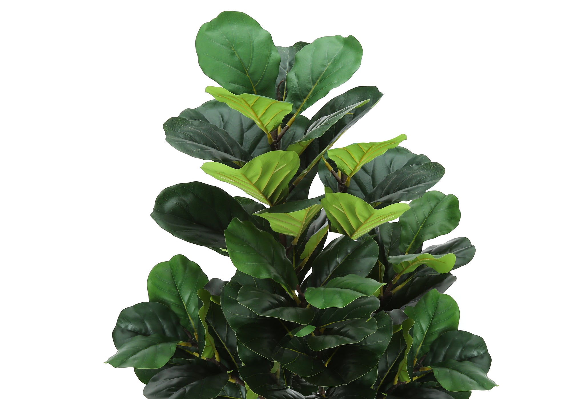 ARTIFICIAL PLANT - 47""H / INDOOR FIDDLE TREE IN A 5"" POT