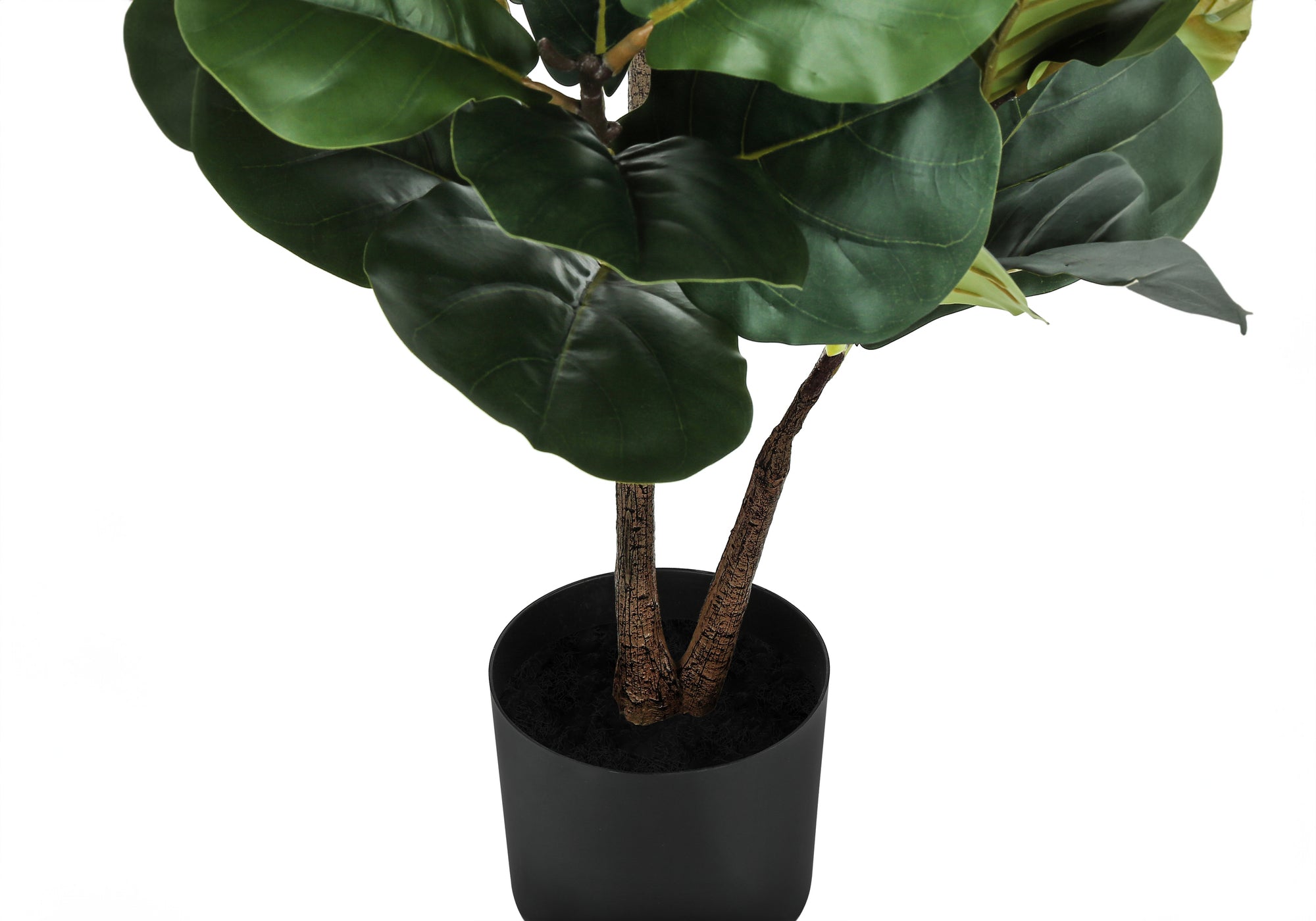 ARTIFICIAL PLANT - 49""H / INDOOR FIDDLE TREE IN A 5"" POT