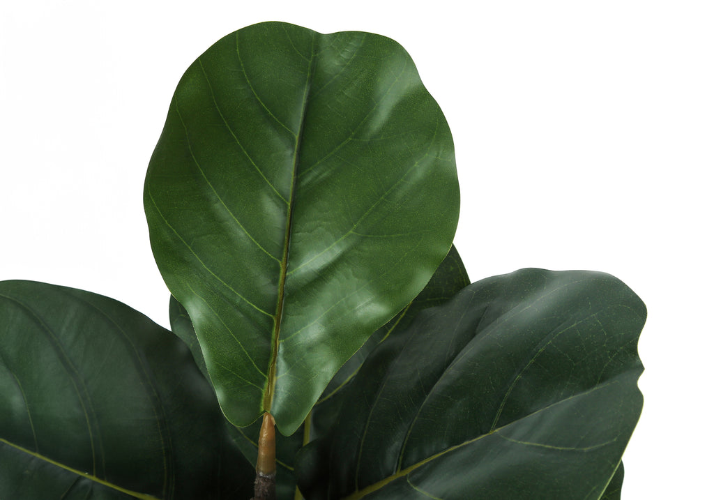 ARTIFICIAL PLANT - 49""H / INDOOR FIDDLE TREE IN A 5"" POT