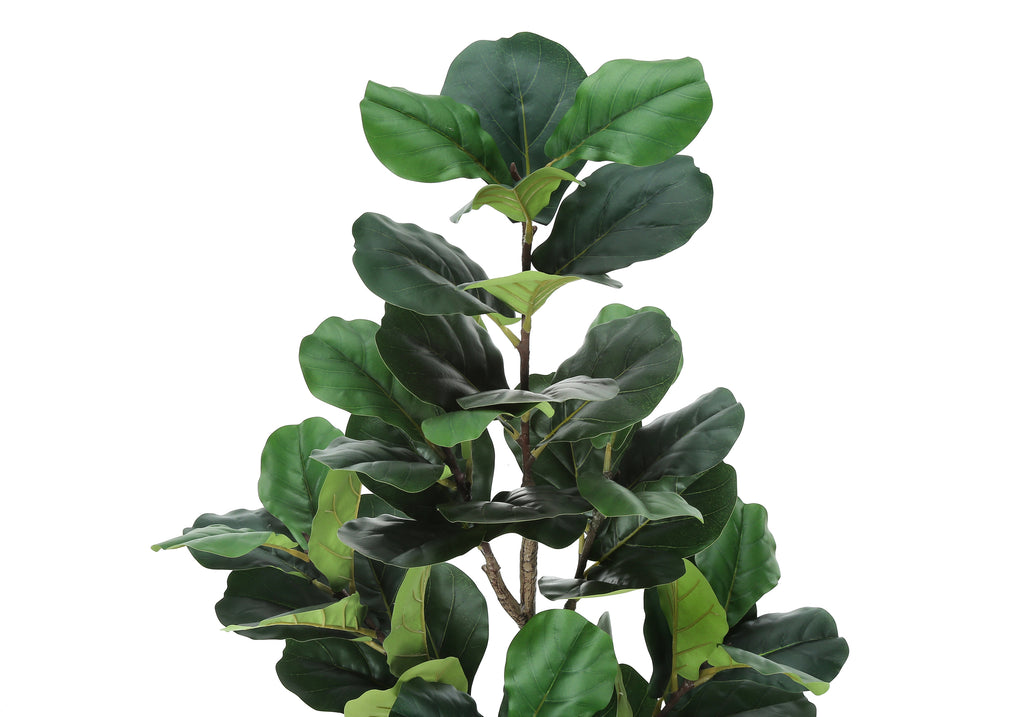 ARTIFICIAL PLANT - 49""H / INDOOR FIDDLE TREE IN A 5"" POT