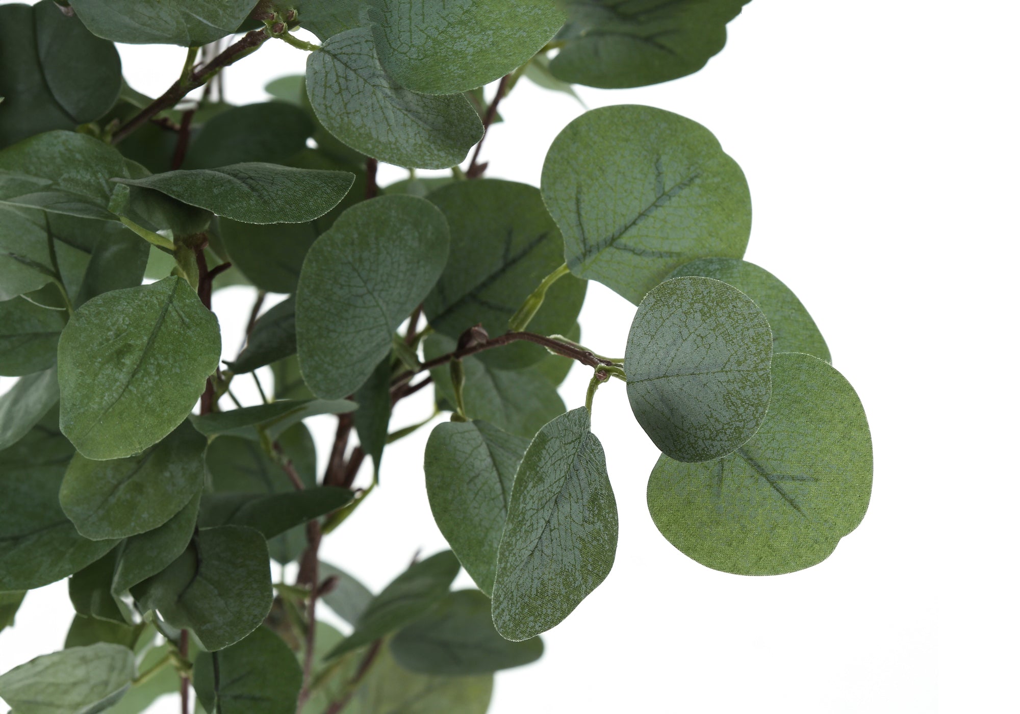 ARTIFICIAL PLANT - 46""H / INDOOR EUCALYPTUS TREE/ 5"" POT