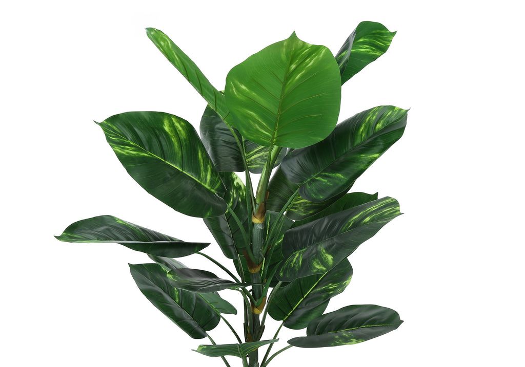 ARTIFICIAL PLANT - 54""H / INDOOR DIEFFENBACHIA / 6"" POT
