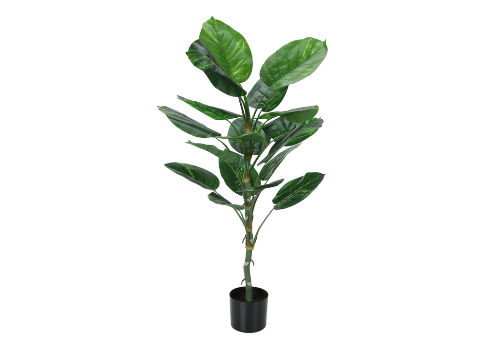 ARTIFICIAL PLANT - 54""H / INDOOR DIEFFENBACHIA / 6"" POT