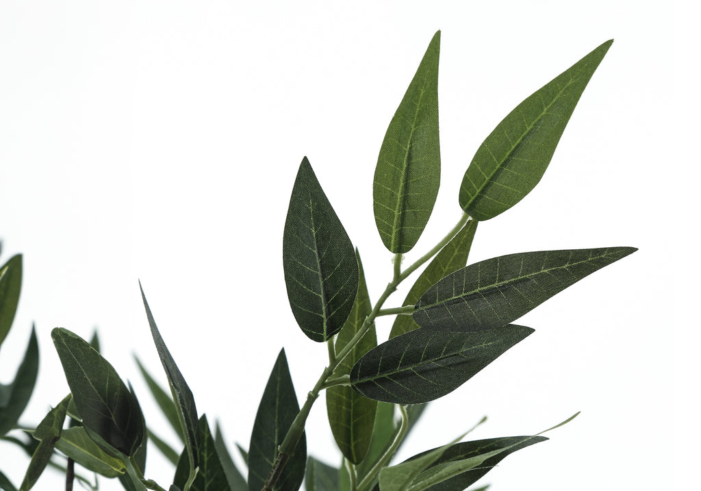 ARTIFICIAL PLANT - 47""H / INDOOR ACACIA TREE IN A 5"" POT