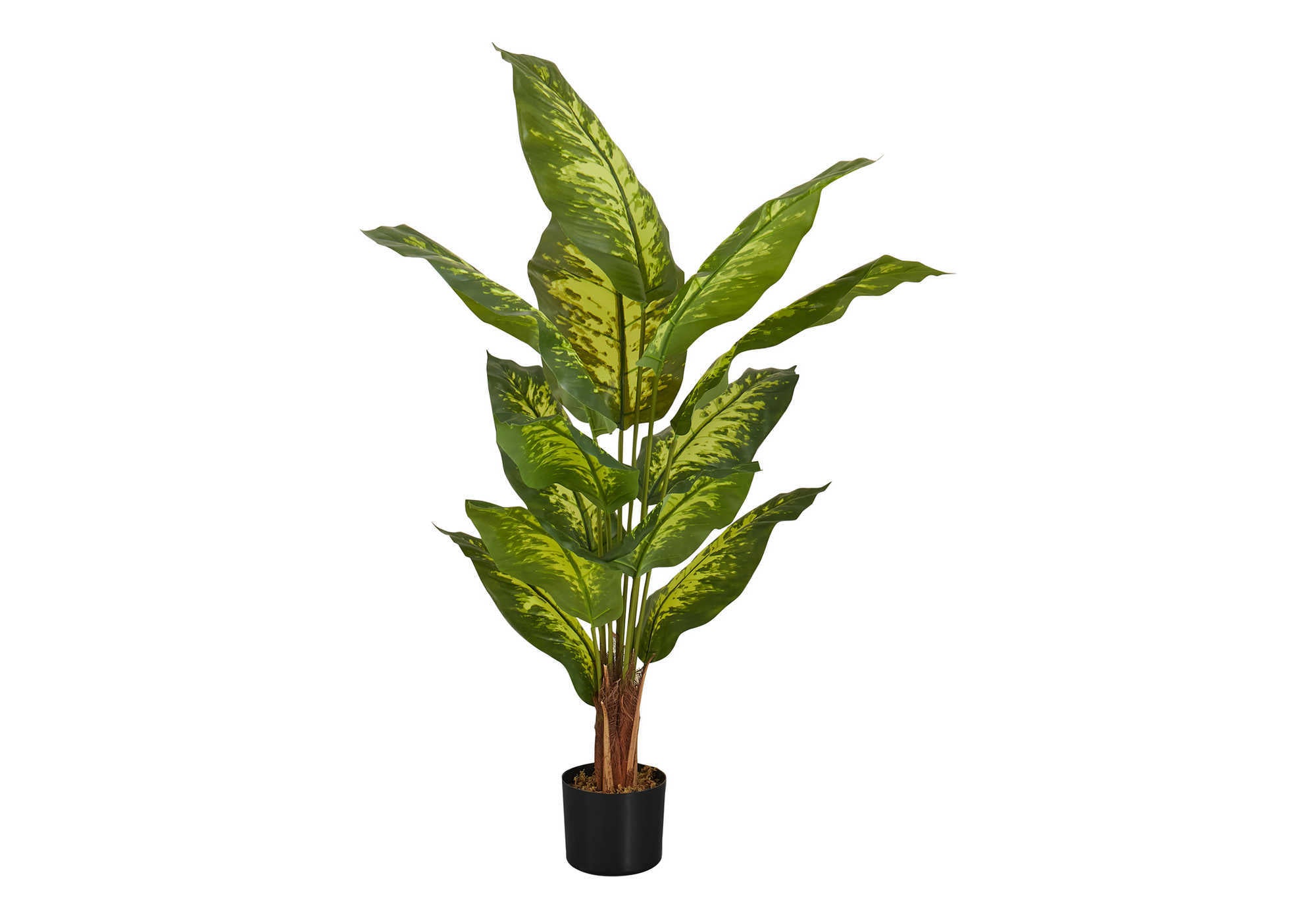 ARTIFICIAL PLANT - 47""H / INDOOR EVERGREEN IN A 5"" POT