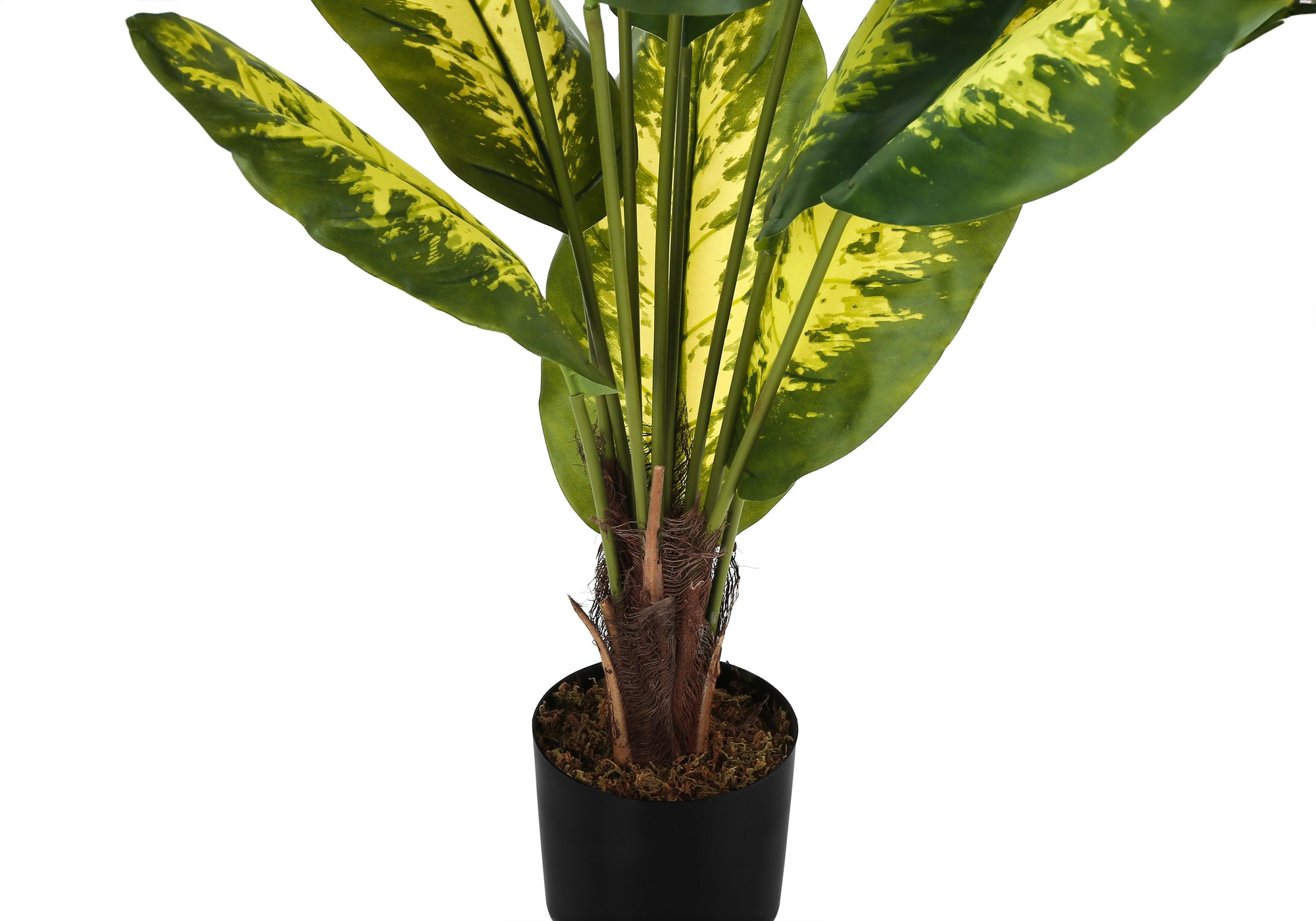 ARTIFICIAL PLANT - 47""H / INDOOR EVERGREEN IN A 5"" POT