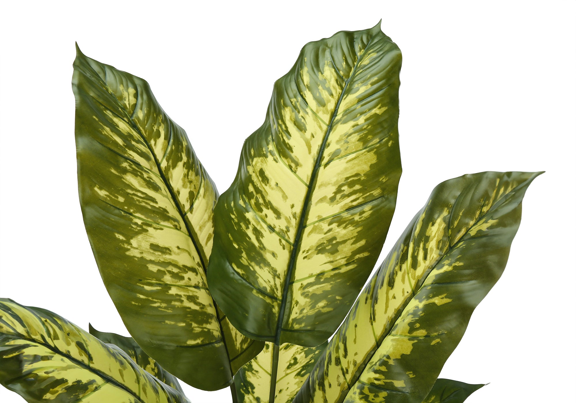 ARTIFICIAL PLANT - 47""H / INDOOR EVERGREEN IN A 5"" POT