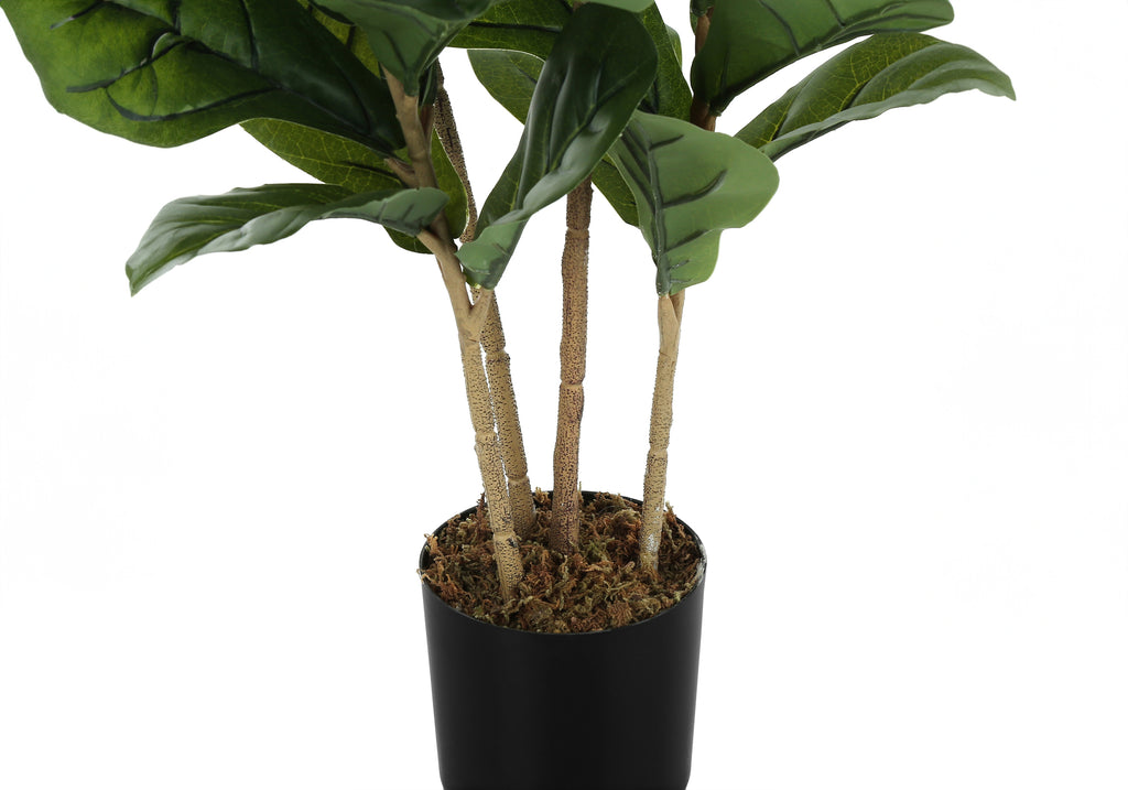 ARTIFICIAL PLANT - 41""H / INDOOR FIDDLE TREE IN A 5"" POT