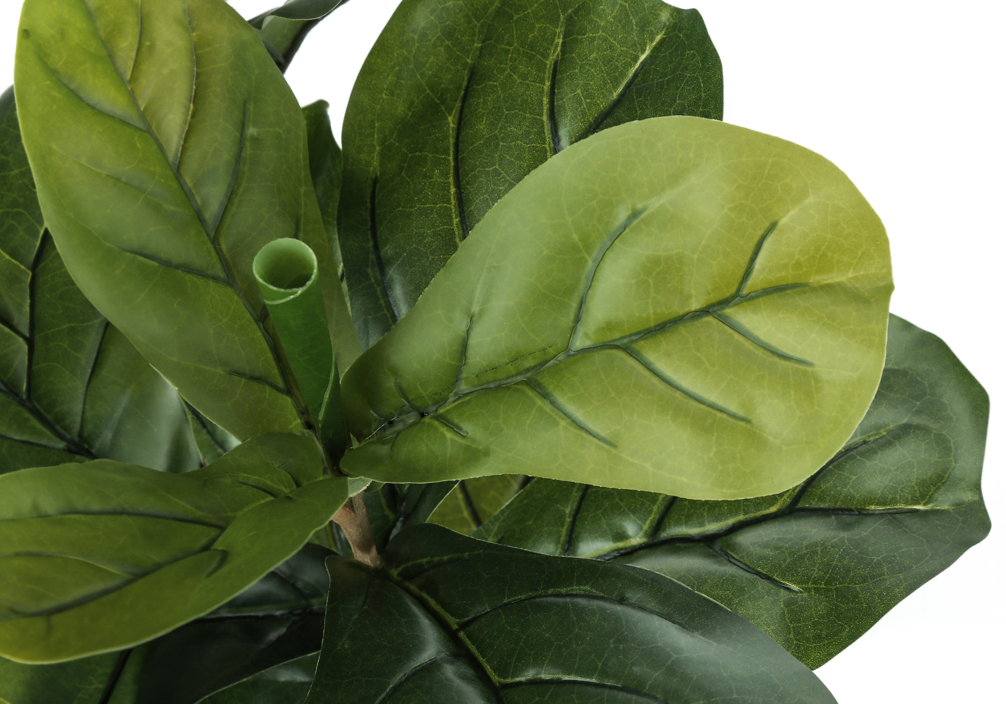 ARTIFICIAL PLANT - 41""H / INDOOR FIDDLE TREE IN A 5"" POT