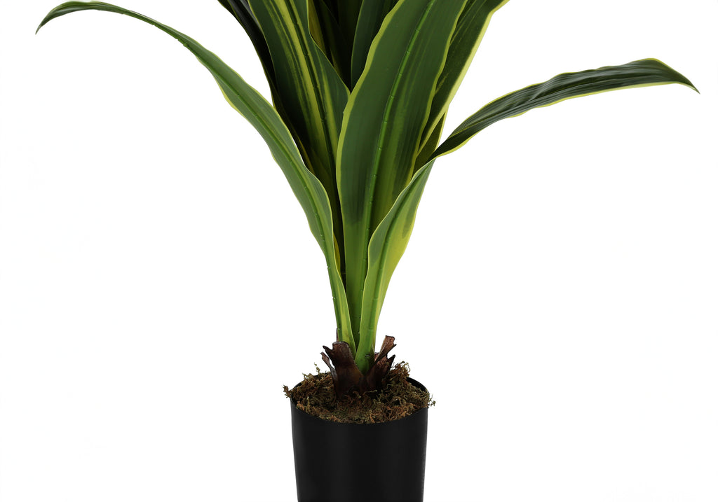 ARTIFICIAL PLANT - 47""H / INDOOR DRACAENA IN A 5"" POT