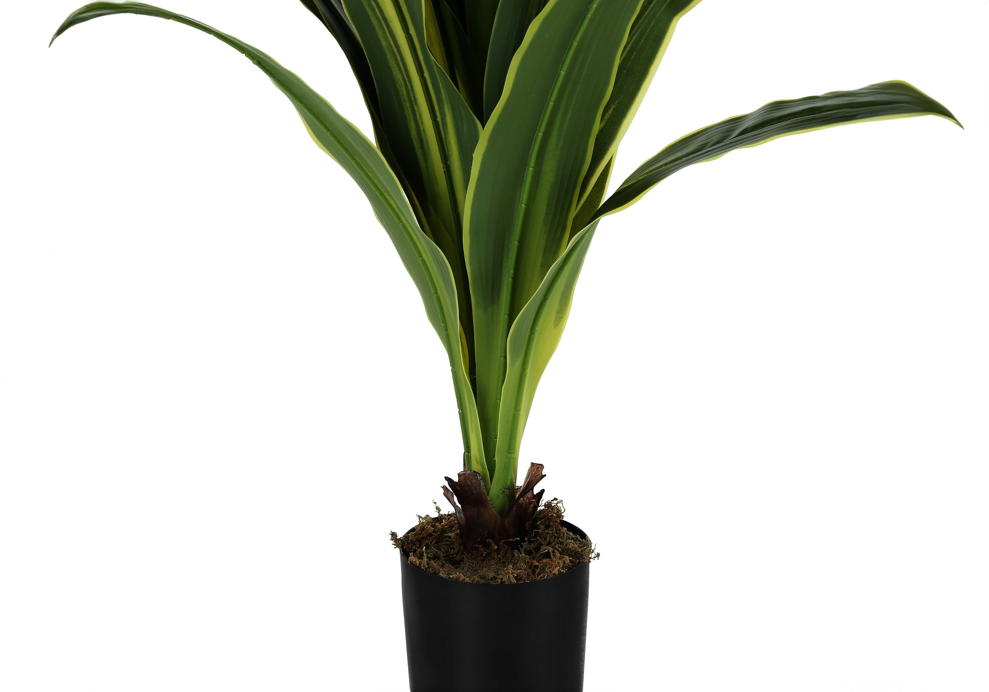 ARTIFICIAL PLANT - 47""H / INDOOR DRACAENA IN A 5"" POT