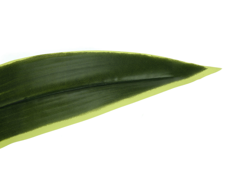 ARTIFICIAL PLANT - 47""H / INDOOR DRACAENA IN A 5"" POT