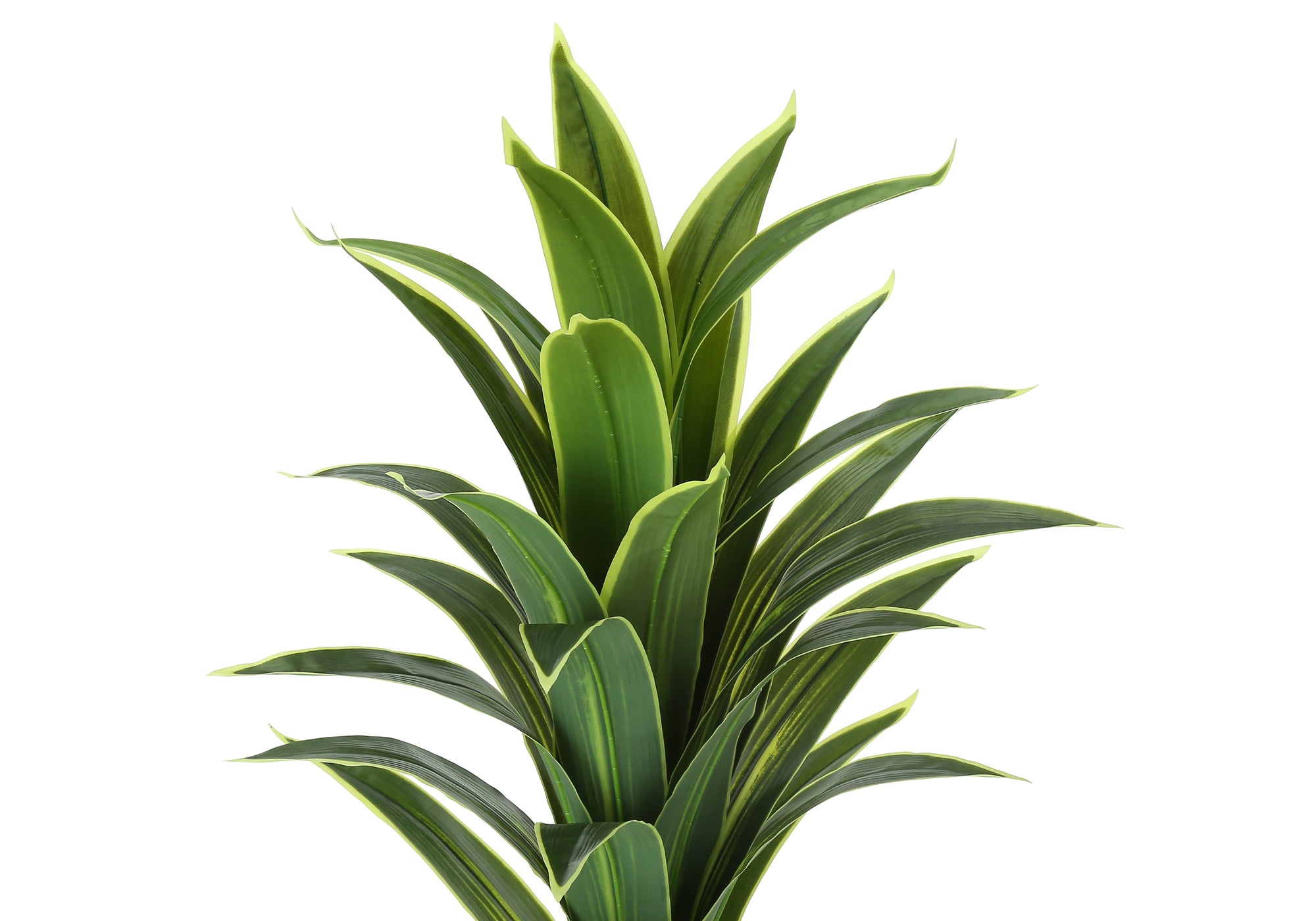 ARTIFICIAL PLANT - 47""H / INDOOR DRACAENA IN A 5"" POT