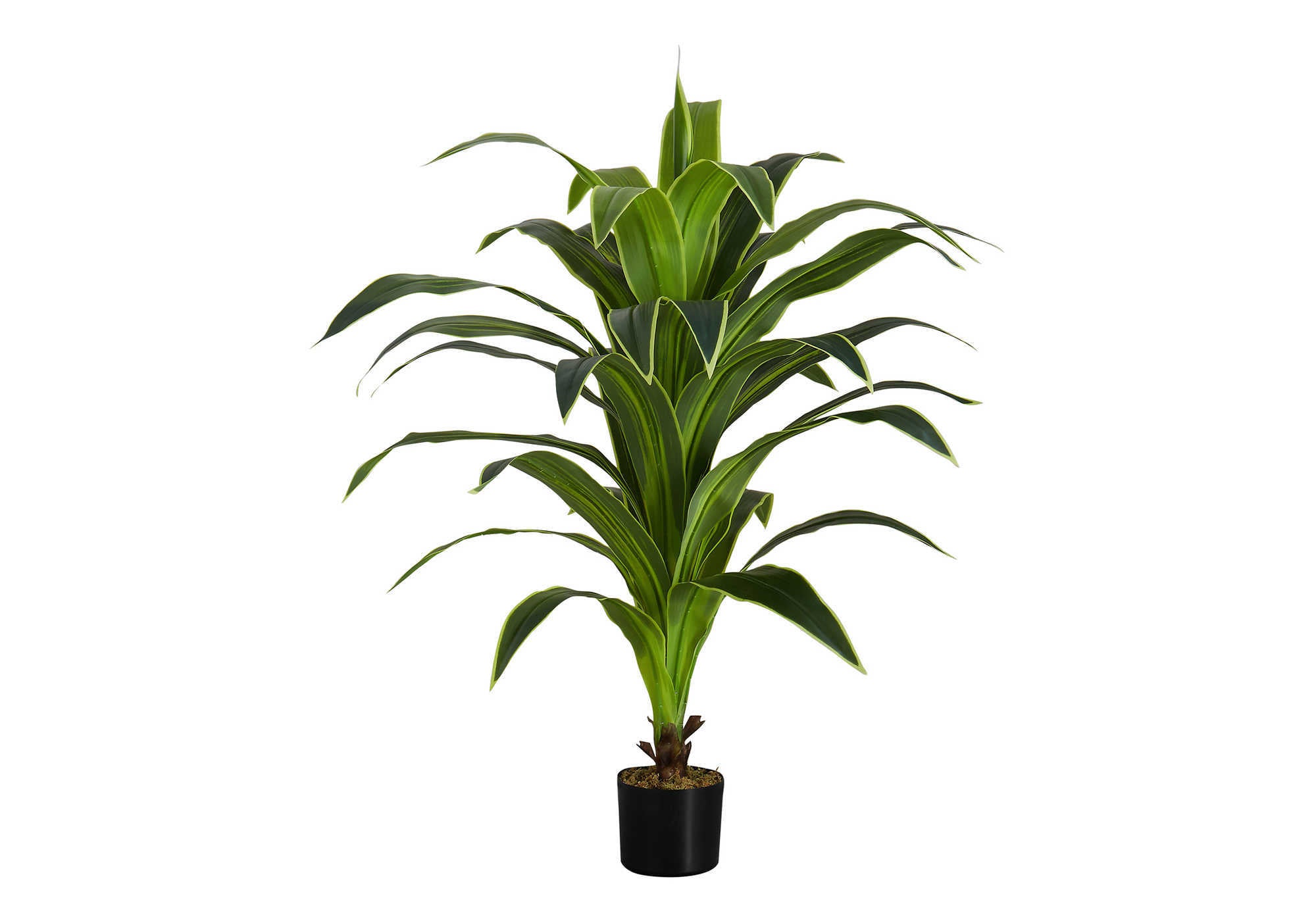 ARTIFICIAL PLANT - 47""H / INDOOR DRACAENA IN A 5"" POT