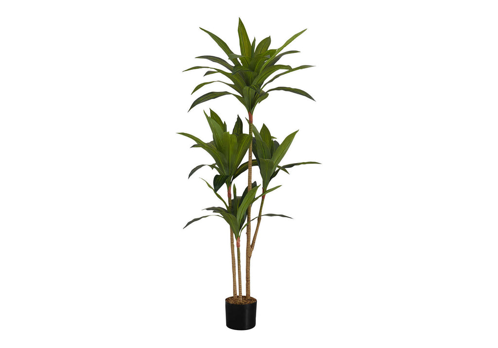 ARTIFICIAL PLANT - 51""H / INDOOR DRACAENA IN A 5"" POT