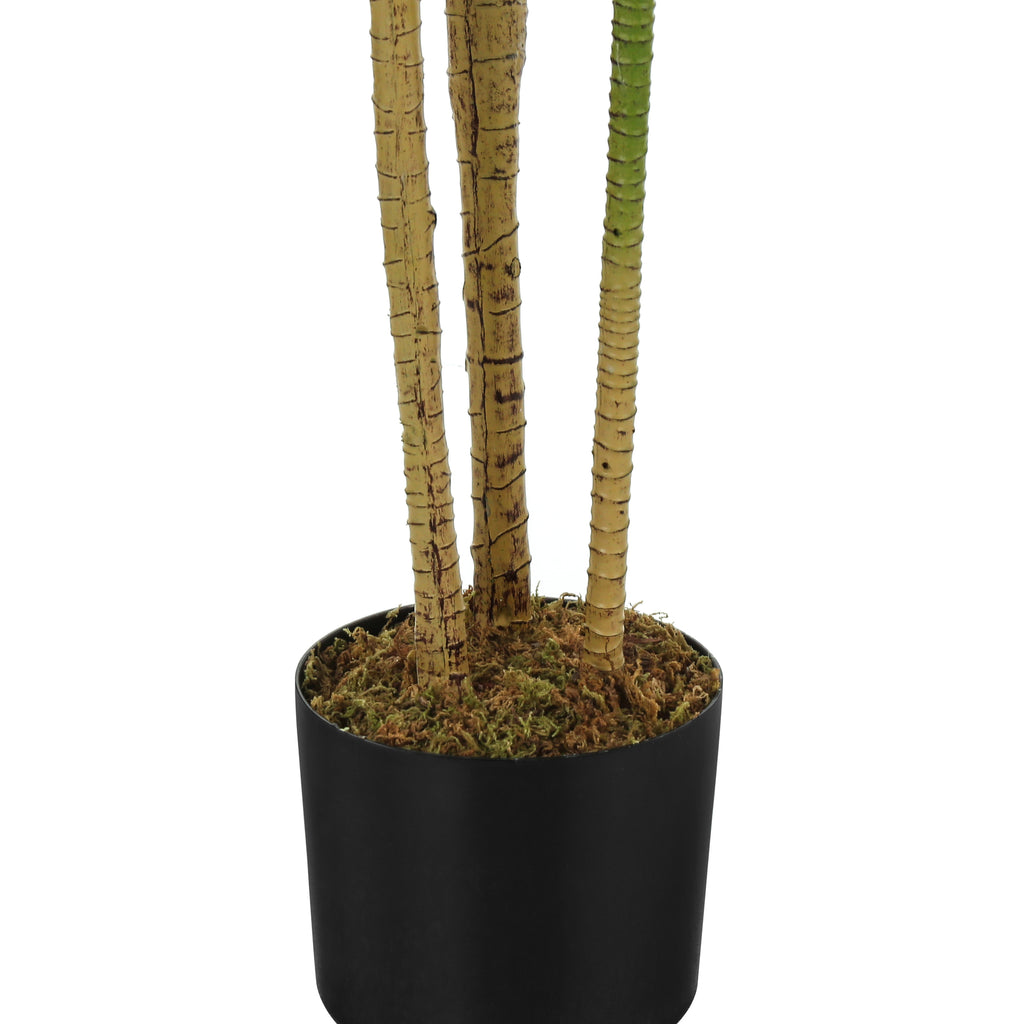 ARTIFICIAL PLANT - 51""H / INDOOR DRACAENA IN A 5"" POT