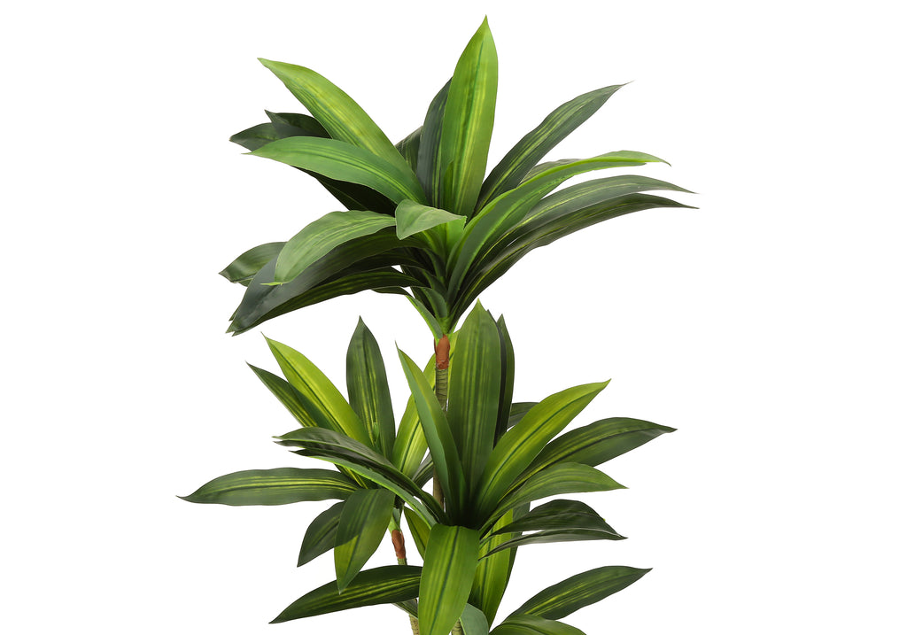 ARTIFICIAL PLANT - 51""H / INDOOR DRACAENA IN A 5"" POT