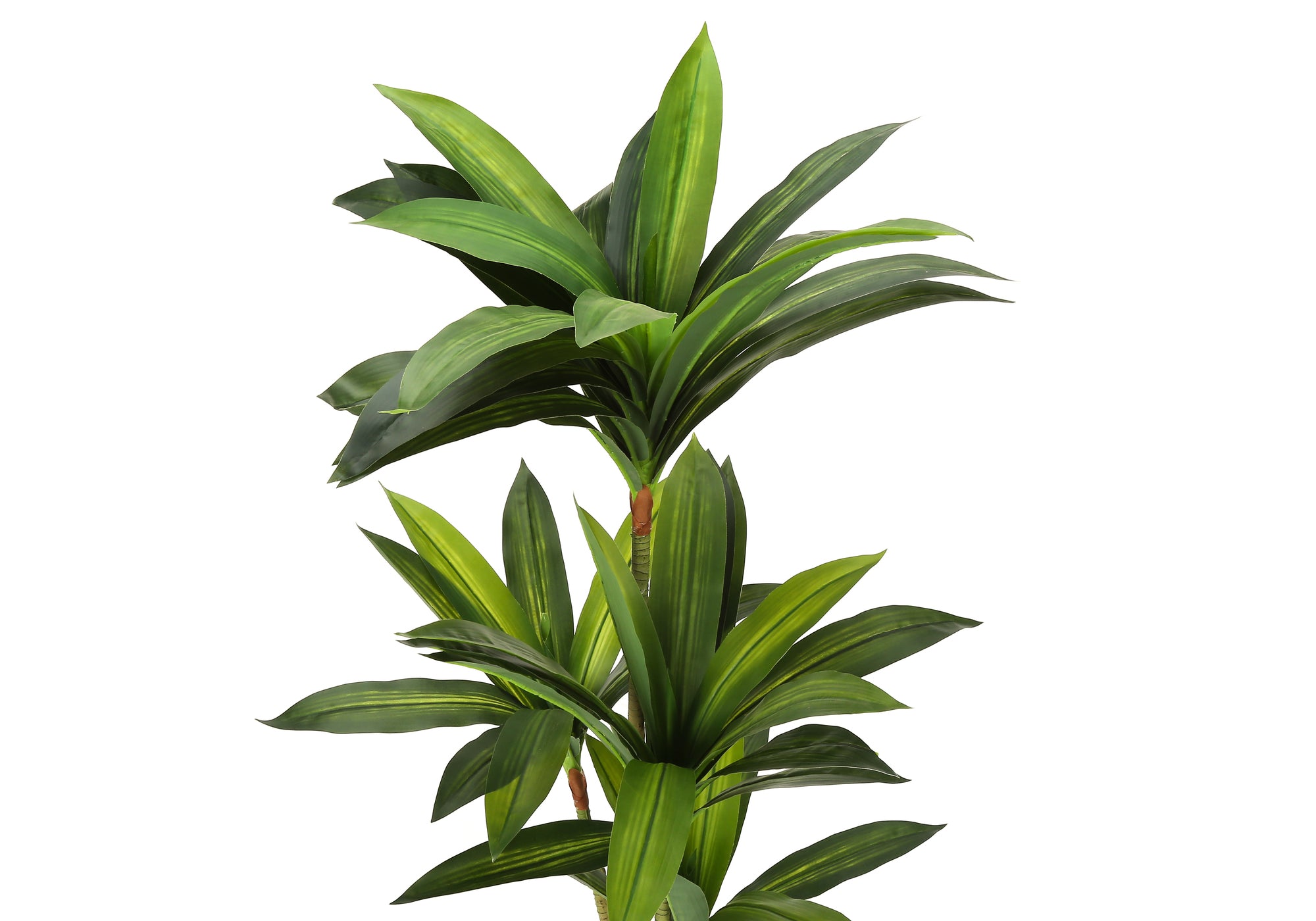 ARTIFICIAL PLANT - 51""H / INDOOR DRACAENA IN A 5"" POT
