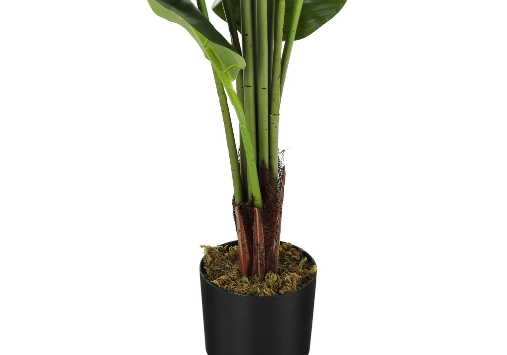 ARTIFICIAL PLANT - 59""H / INDOOR STRELITZIA IN A 5"" POT
