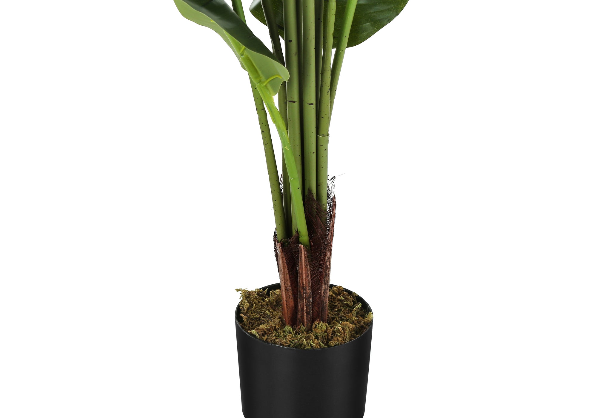 ARTIFICIAL PLANT - 59""H / INDOOR STRELITZIA IN A 5"" POT