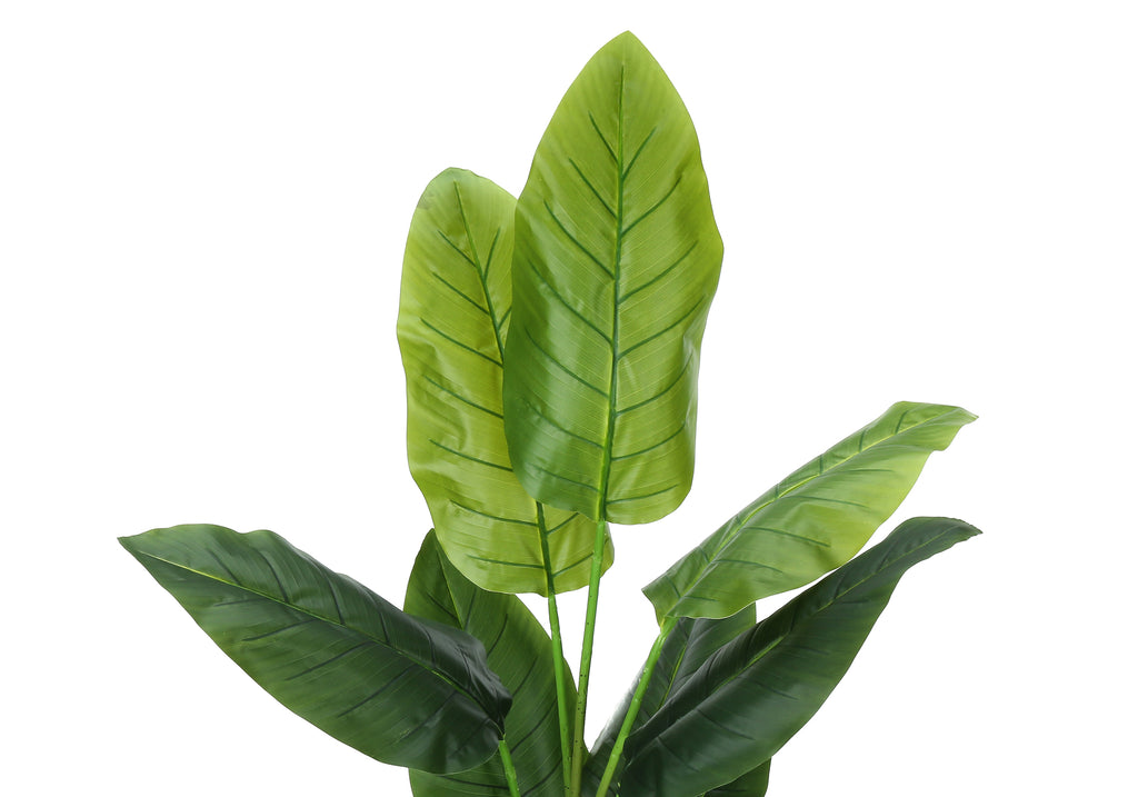 ARTIFICIAL PLANT - 59""H / INDOOR STRELITZIA IN A 5"" POT