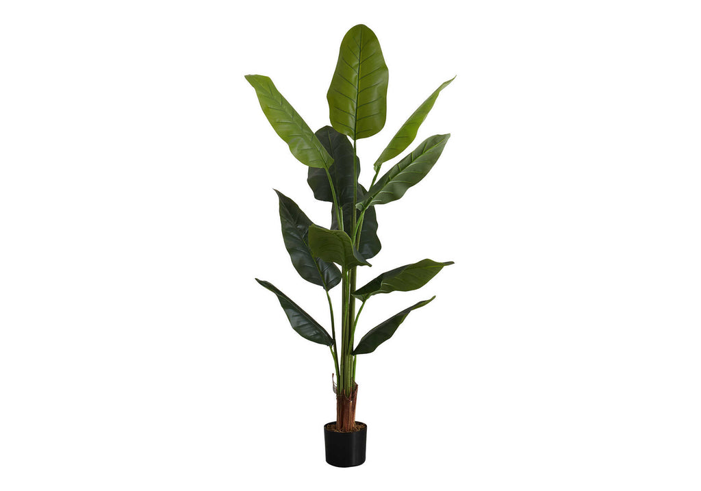 ARTIFICIAL PLANT - 59""H / INDOOR STRELITZIA IN A 5"" POT