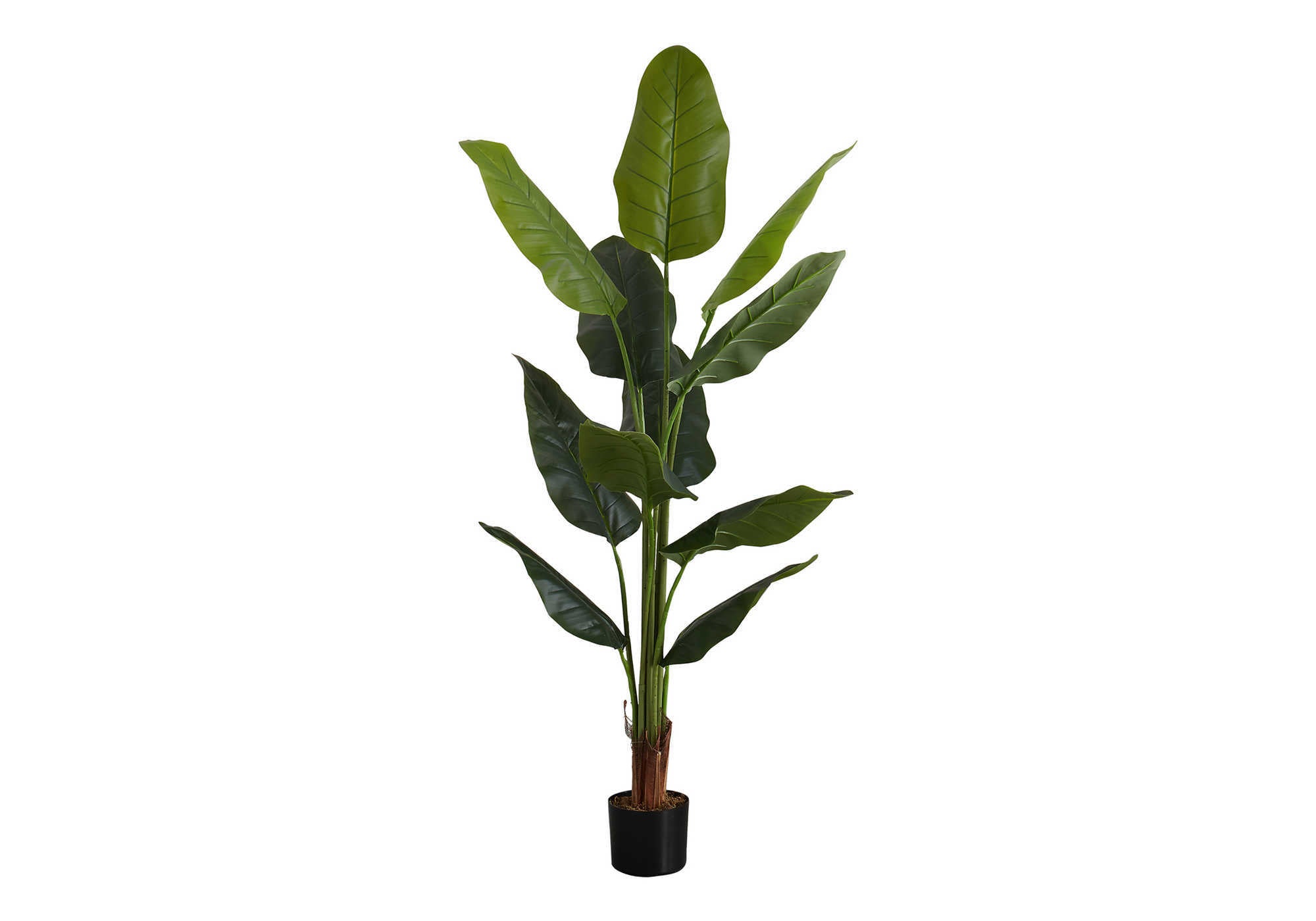ARTIFICIAL PLANT - 59""H / INDOOR STRELITZIA IN A 5"" POT